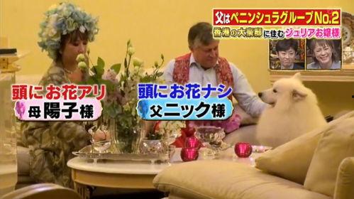 香港生活爆料视频大全集,爆料视频大全集深度解析